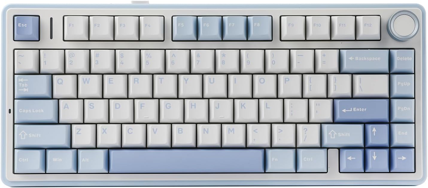 EPOMAKER x AULA F75 Gasket Mechanical Keyboard, 75% Wireless Hot Swappable Gaming Keyboard with Five-Layer Padding&Knob, Bluetooth/2.4GHz/USB-C, RGB (Black Gradient, LEOBOG Reaper Switch)