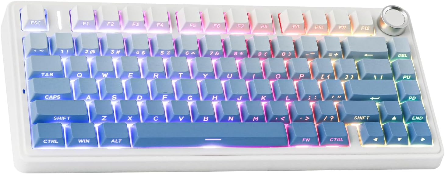 EPOMAKER x AULA F75 Gasket Mechanical Keyboard, 75% Wireless Hot Swappable Gaming Keyboard with Five-Layer Padding&Knob, Bluetooth/2.4GHz/USB-C, RGB (Black Gradient, LEOBOG Reaper Switch)