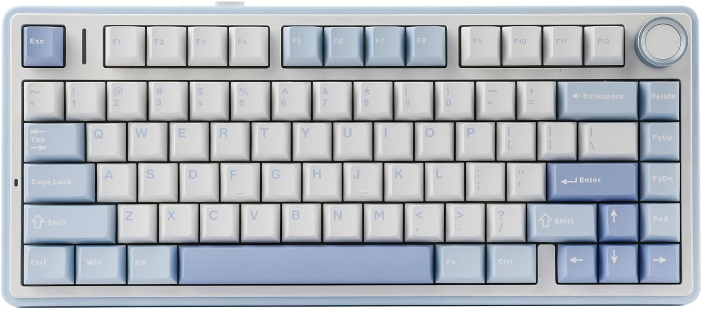 EPOMAKER x AULA F75 Gasket Mechanical Keyboard, 75% Wireless Hot Swappable Gaming Keyboard with Five-Layer Padding&Knob, Bluetooth/2.4GHz/USB-C, RGB (Black Gradient, LEOBOG Reaper Switch)